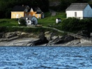 Anse-Blanchette, Parc Forillon