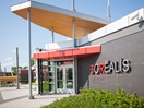 Borealis Centre, history of pulp and paper industry