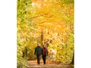 Fall foliage moment