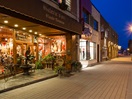 City center, art gallery and shops