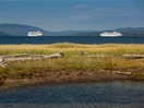 Le Norwegian Dawn et le MV Artania dans la baie de Gaspé