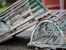Lobster traps