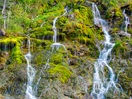 Parc Forillon