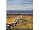 Seashore