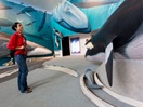 Life-size sculptures and frescos, Station de recherches des îles Mingan
