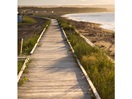 Where the seashore is omnipresent