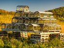 Lobster cages
