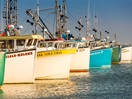 Fishing boats in the port of Grande Entrée