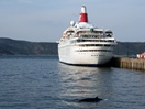 Whale in the port of Baie-Comeau