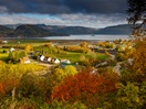 Fall foliage