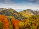 Fall foliage landscape