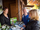 Discover the local product