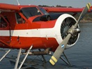 Fjord by plane