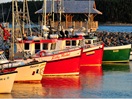 Fishing boats at the port of Havre-Saint-Pierre