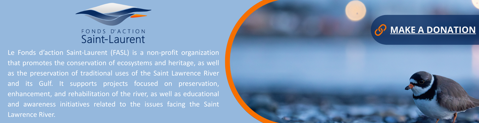 Bannière FASL EN Bannière FASL EN